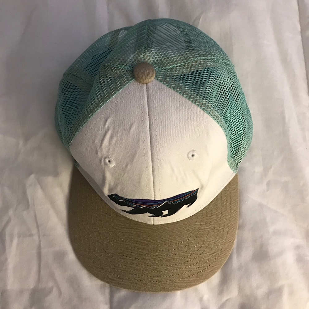 Patagonia Fitz Roy Bear Hat